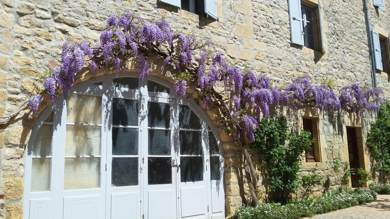 Accueil Du Couvent De Malet Otel Saint-Côme-dʼOlt Dış mekan fotoğraf